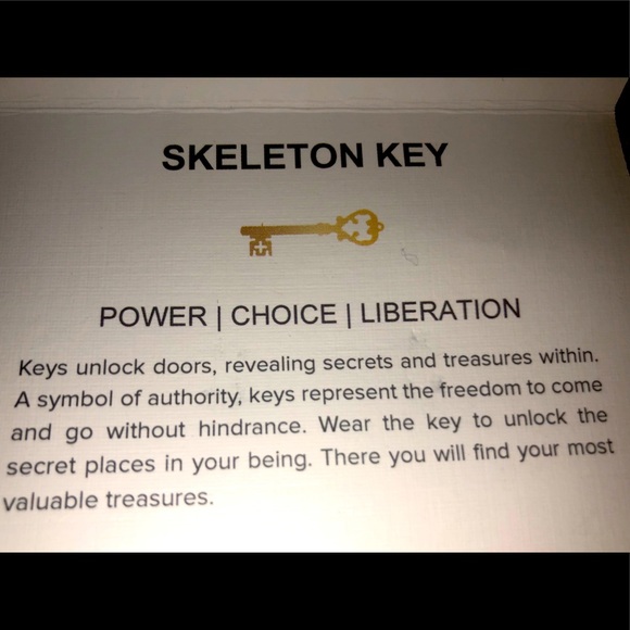 ALEX AND ANI SKELETON KEY 🔑 STUD EARRINGS - Picture 6 of 8